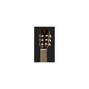 Takamine EC132SC w/Softcase