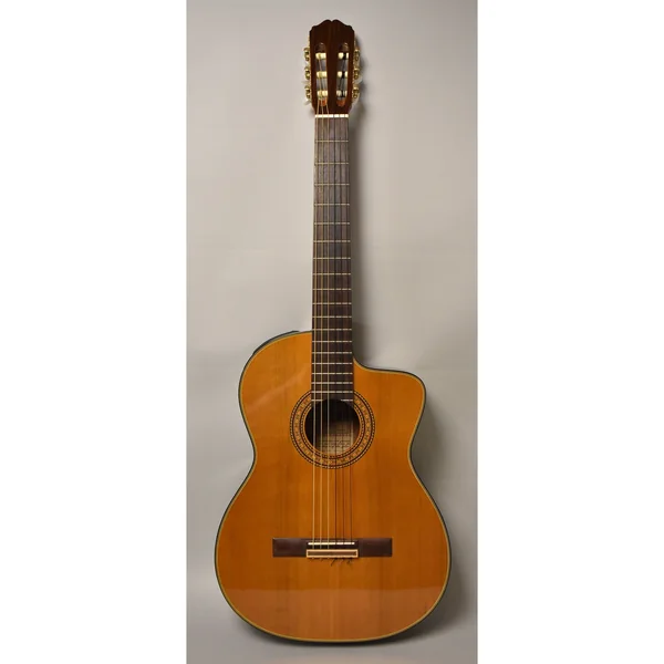 Takamine EC132SC w/Softcase