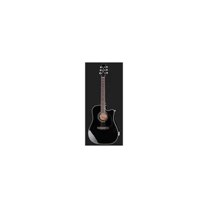 Takamine EF341SC w/Softcase