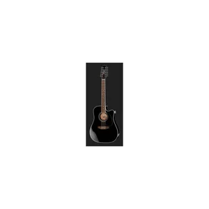 Takamine EF381SC w/Softcase
