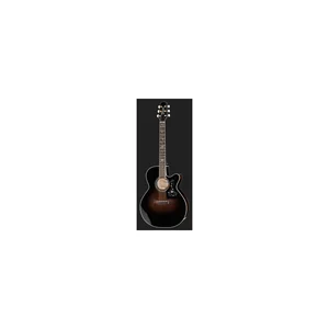 Takamine EF450C-TT TBB w/Softcase