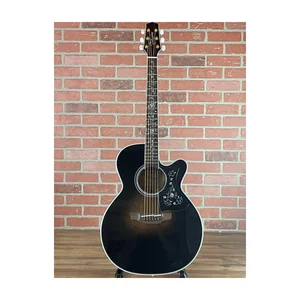 Takamine EF450C-TT TBB w/Softcase