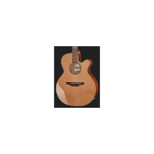 Takamine FSF40C
