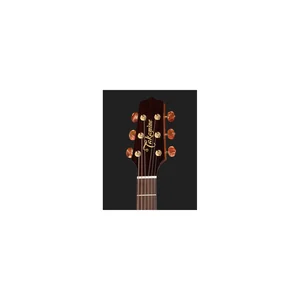 Takamine FSF40C