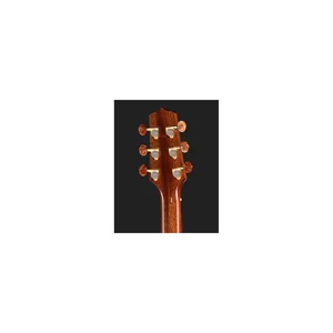 Takamine FSF40C