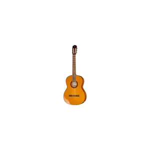 Takamine GC1-NAT