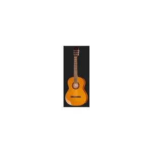 Takamine GC1-NAT