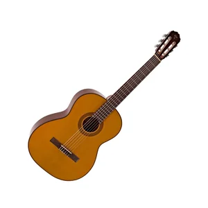 Takamine GC1-NAT