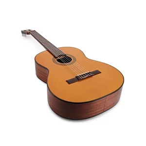 Takamine GC1-NAT