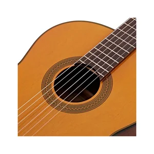 Takamine GC1-NAT