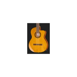 Takamine GC1CE-Nat