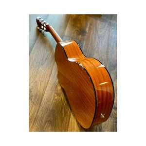 Takamine GC1CE-Nat