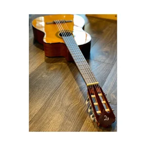 Takamine GC1CE-Nat