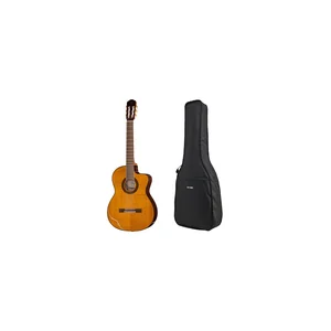 Takamine GC5CE Natural w/Bag