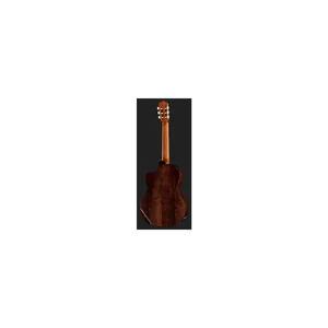 Takamine GC5CE Natural w/Bag