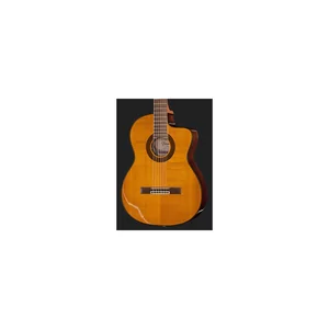 Takamine GC5CE Natural w/Bag