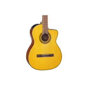 Takamine GC5CE Natural w/Bag