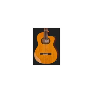 Takamine GC6CE-Nat