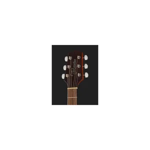 Takamine GD11MCENS w/Bag