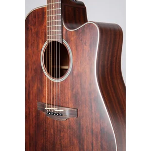 Takamine GD21CE SM