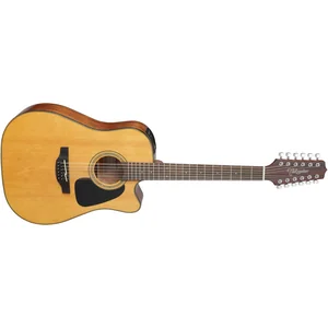 Takamine GD30CE-12N