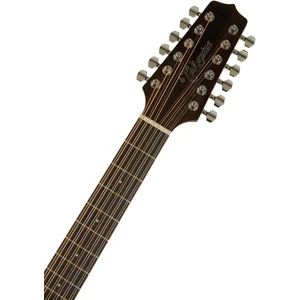 Takamine GD30CE-12N