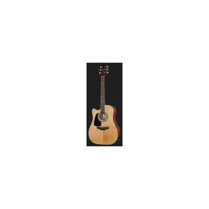 Takamine GD30CE-NAT-LH