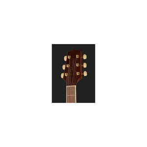 Takamine GD51CE-BSB W/Bag
