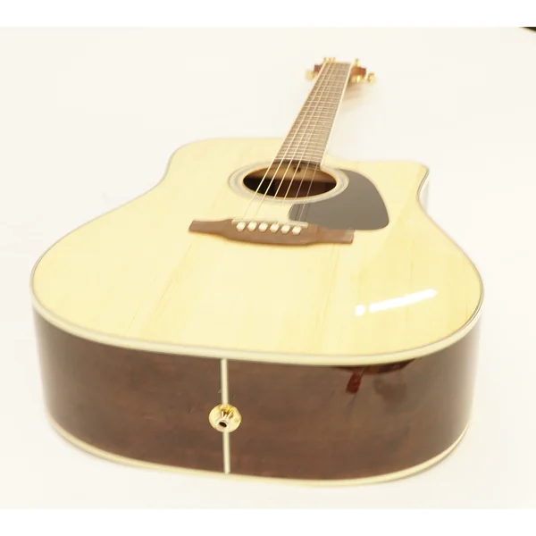 Takamine GD51CE-NAT w/Bag