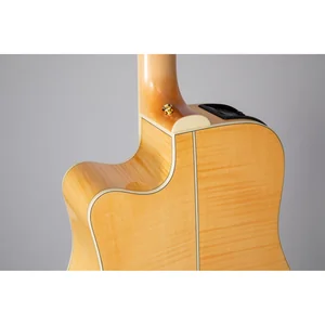 Takamine GD74CE-12U NAT