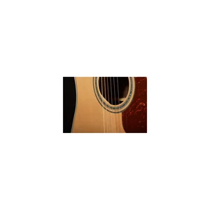 Takamine GD90CEZC-NAT w/Bag