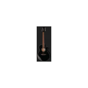 Takamine GF30CE-B w/Bag