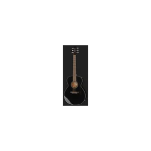 Takamine GN30 B