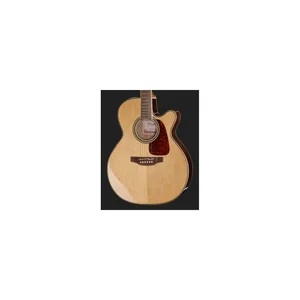 Takamine GN93CE-NAT w/Bag