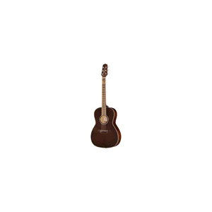 Takamine GY21E SM
