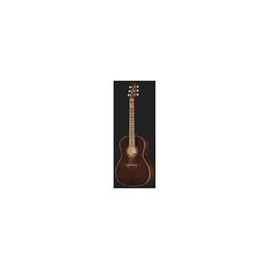 Takamine GY21E SM