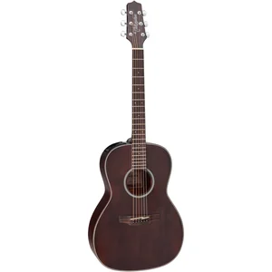 Takamine GY21E SM