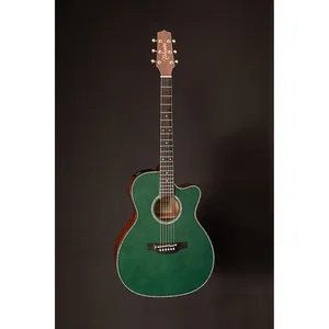 Takamine LTD2025