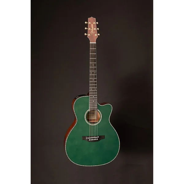 Takamine LTD2025