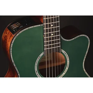 Takamine LTD2025
