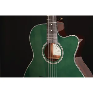 Takamine LTD2025