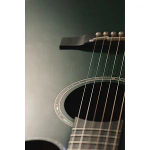 Takamine LTD2025