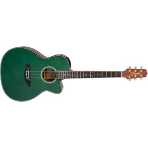 Takamine LTD2025