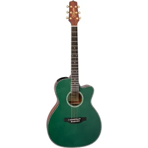Takamine LTD2025