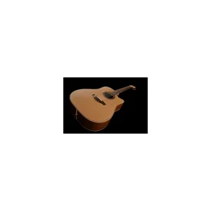 Takamine P3DC-12 w/Softcase
