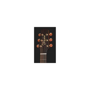 Takamine P3DC w/Softcase