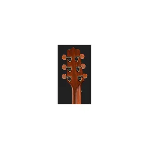 Takamine P3DC w/Softcase
