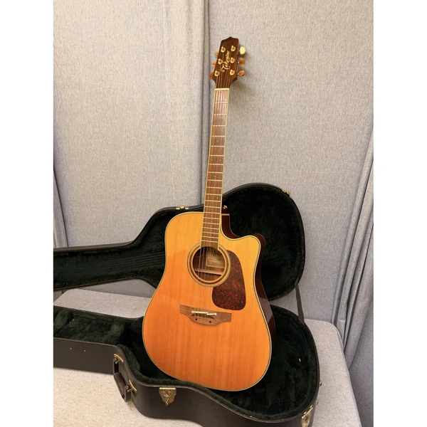 Takamine P3DC w/Softcase