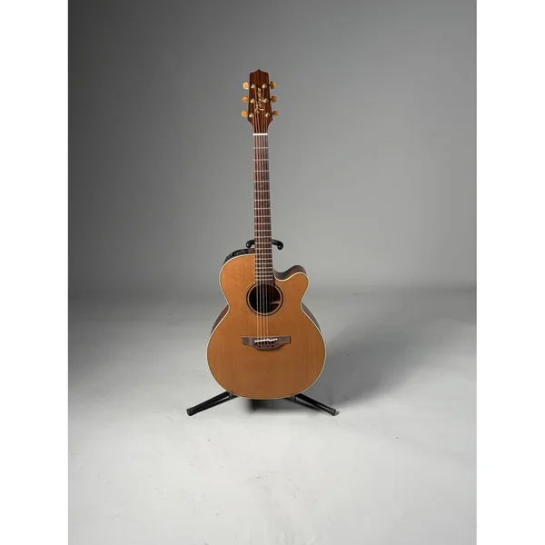 Takamine P3NC Pro Series w/Softcase