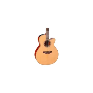 Takamine P3NC Pro Series w/Softcase